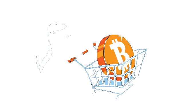 Spending Bitcoin