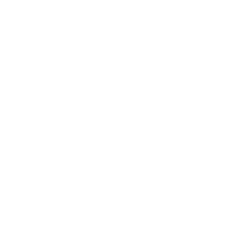 The Bitcoin Company